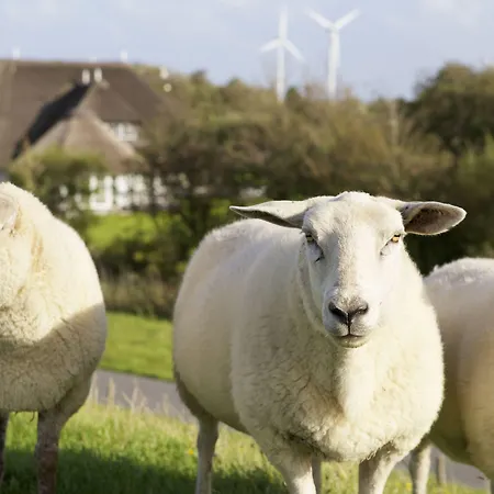 Und Lundenbergsand 酒店