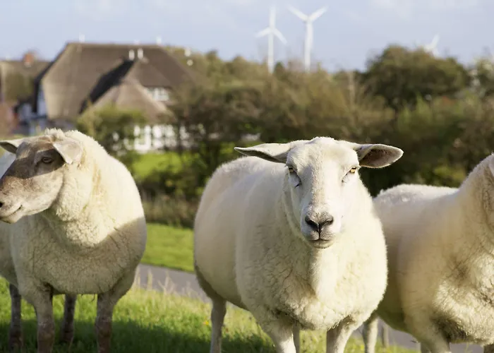 Und Lundenbergsand 酒店