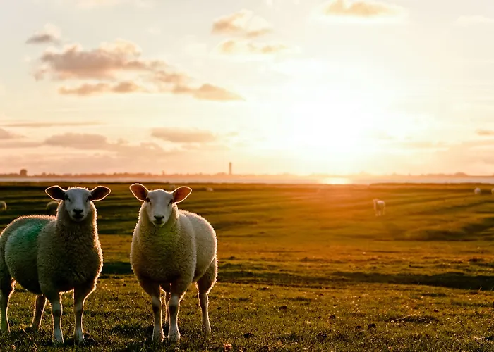 酒店 Und Lundenbergsand