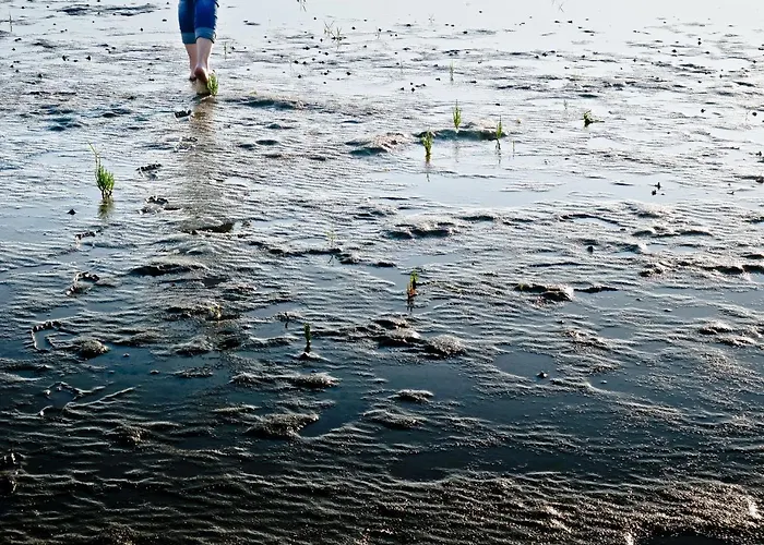 Hotel Und Lundenbergsand 4*